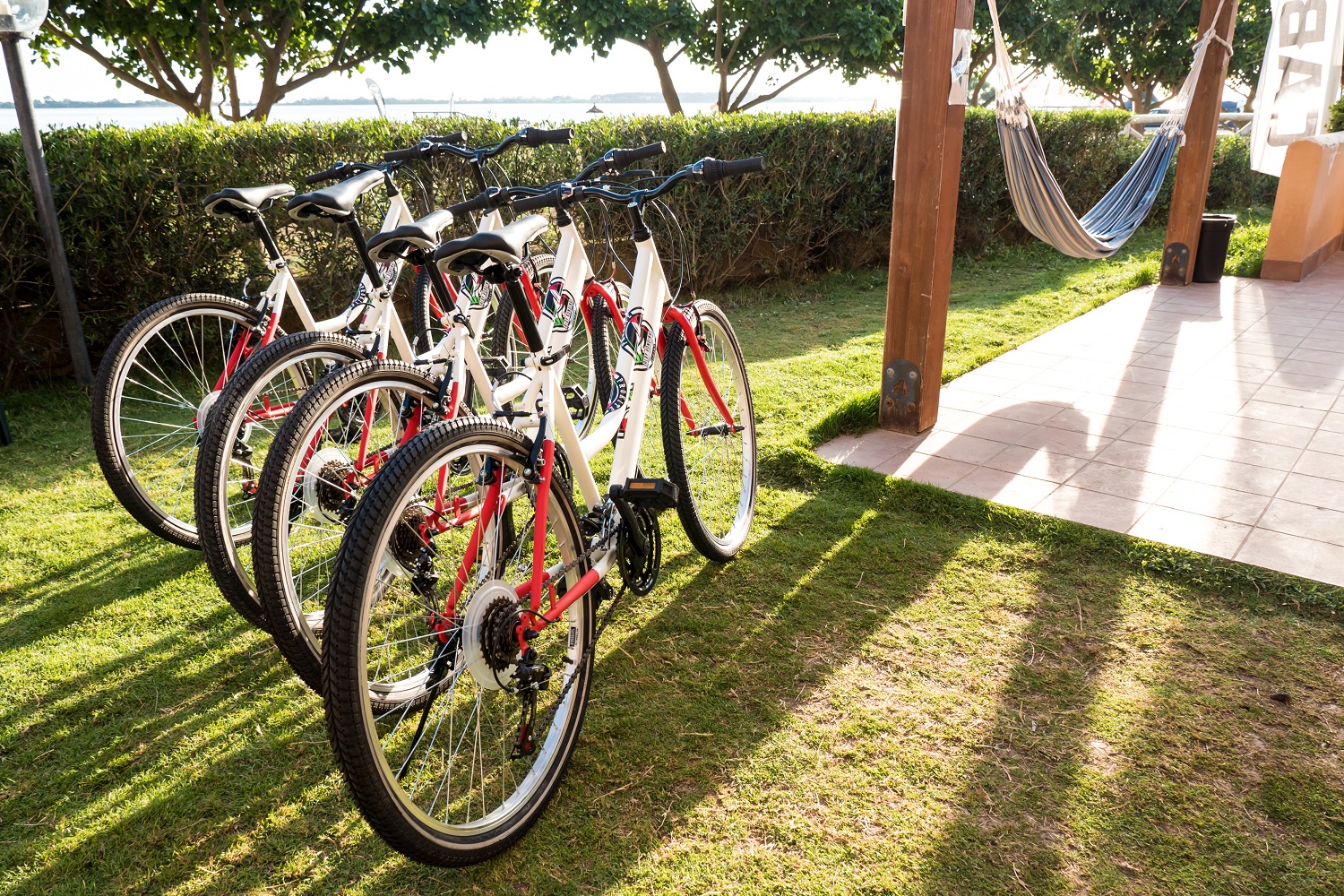bicycle